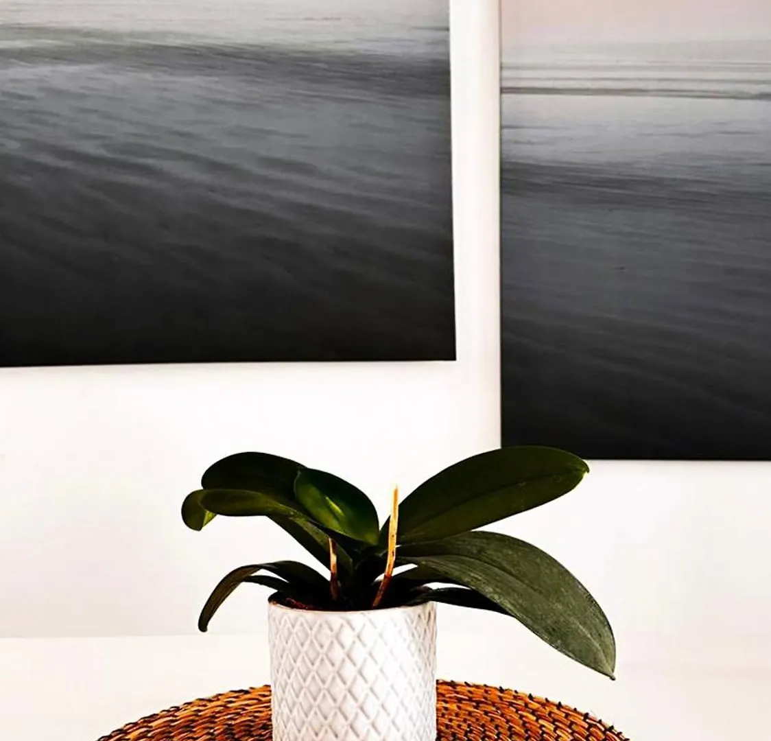 بوتيل La Rambla Private Room برشلونة إسبانيا